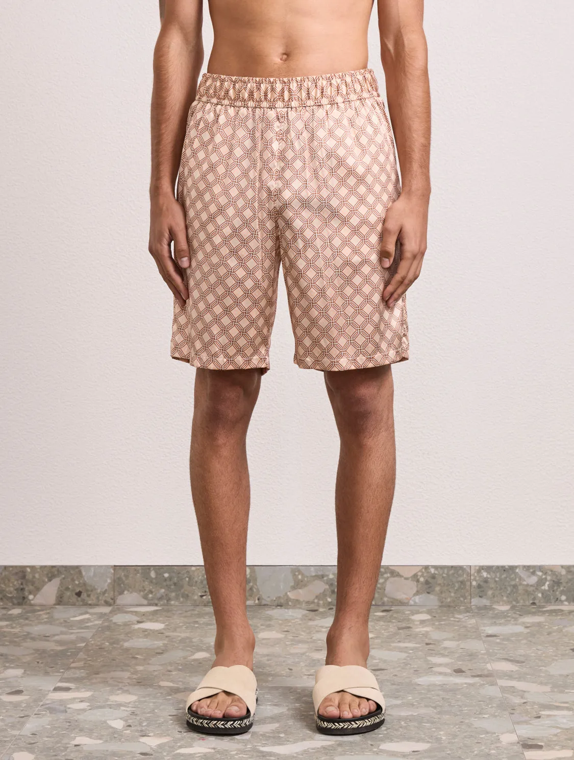 ANGRA TRELIÇA PALMA SILK SHORTS