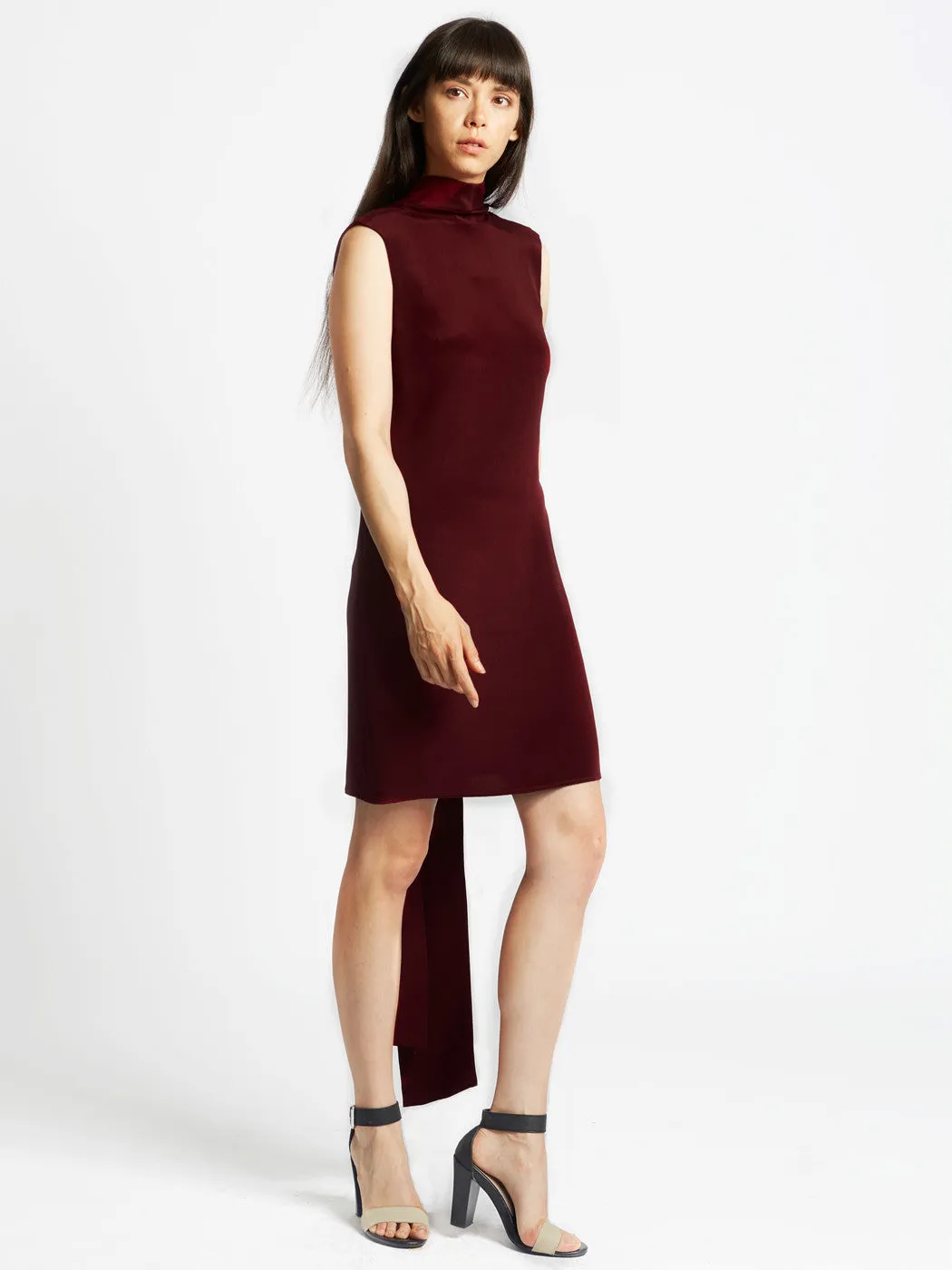Back Loop Dress Wine
