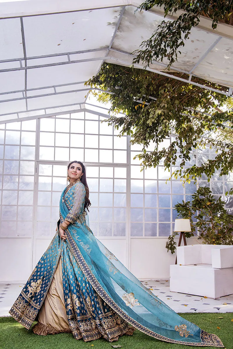 Blue Kalidar Hand Embellished Pishwas with Dupatta Wedding Dress