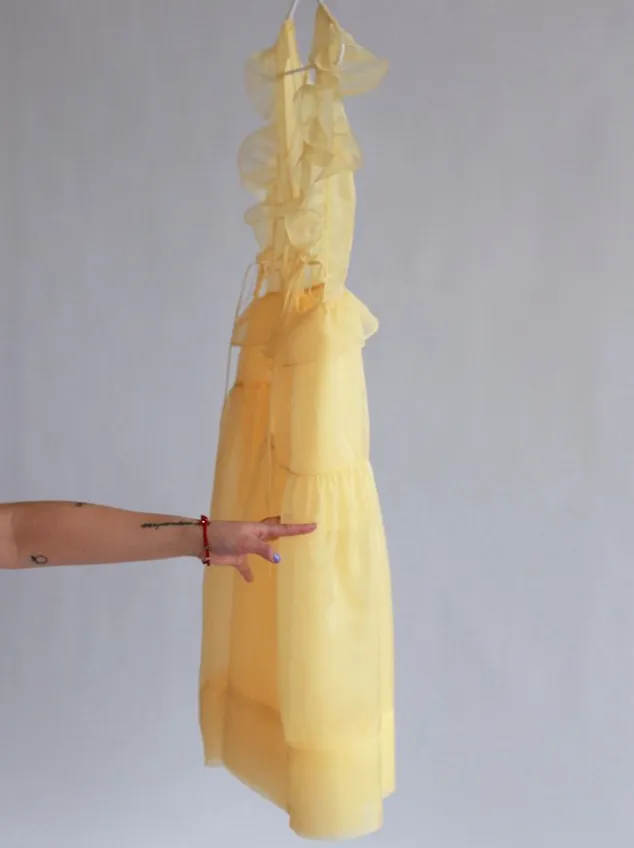 Camilla Dress • Silk Organza