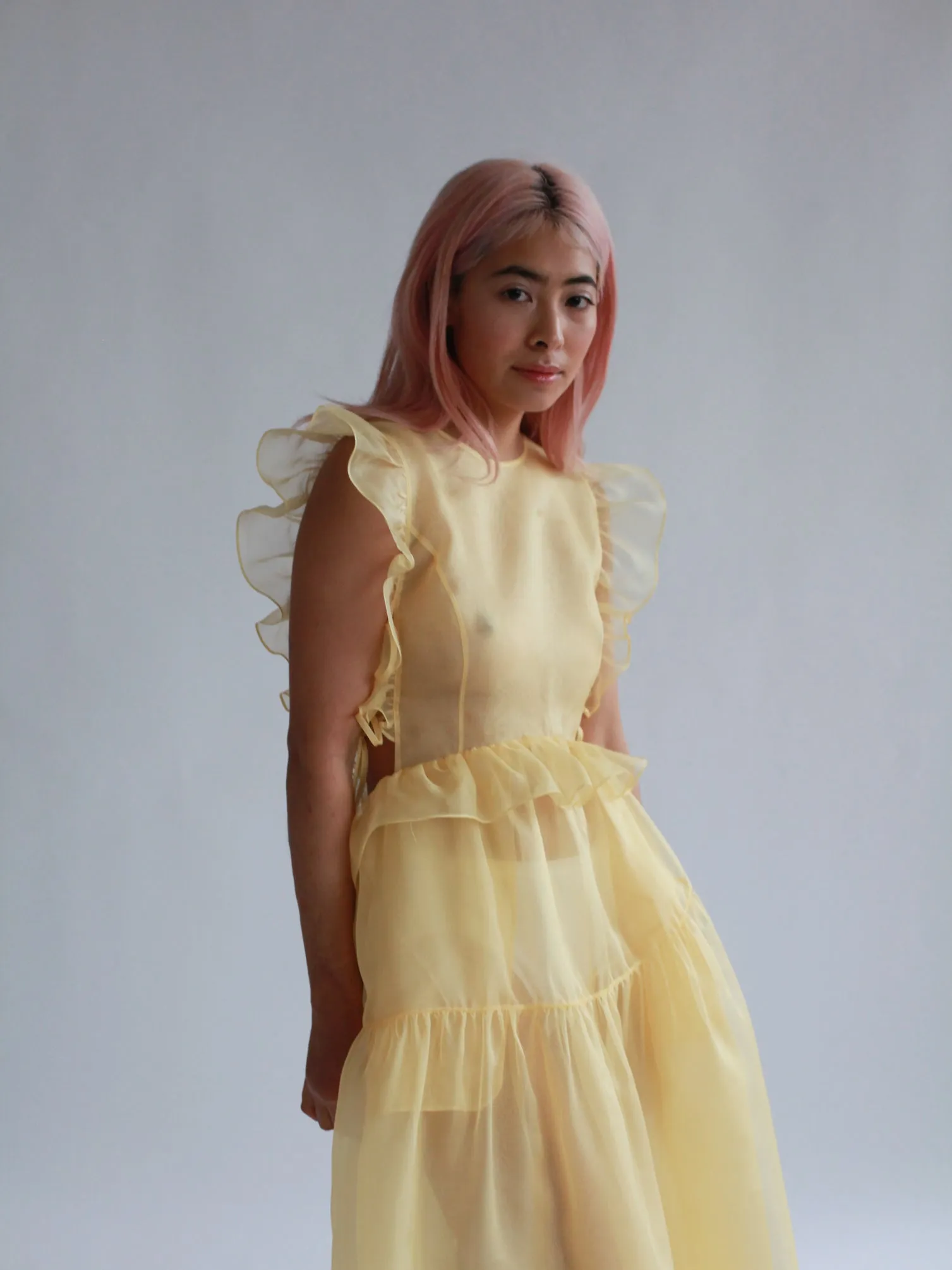 Camilla Dress • Silk Organza