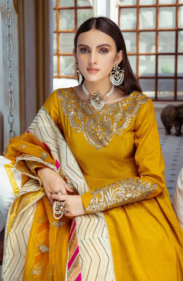 Embellished Raw Silk Frock Design Pakistani Party Dress