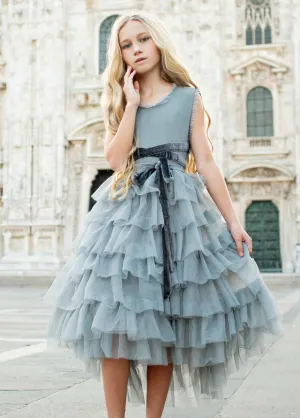 Geneva Petticoat Dress in Dusty Blue
