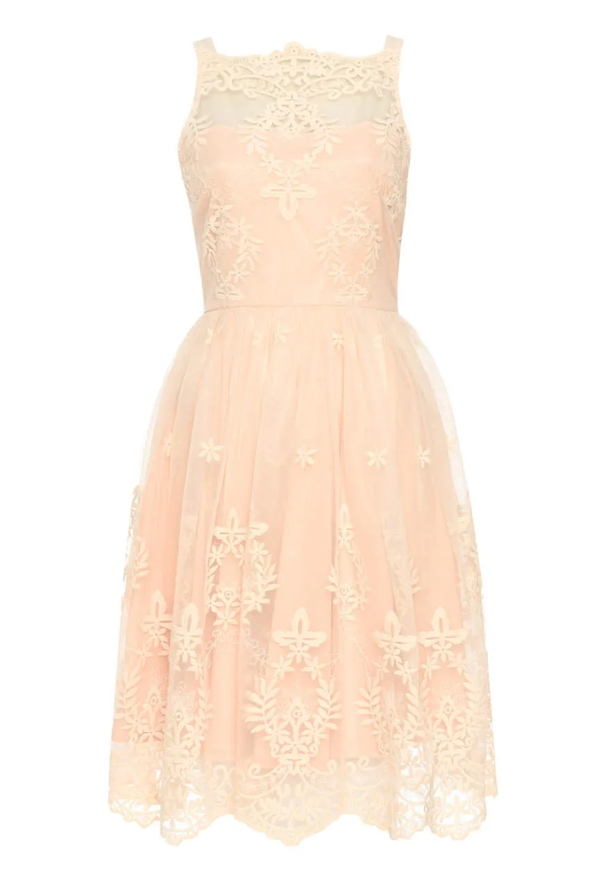 Nude Lace Detail Dress With Full Skirt