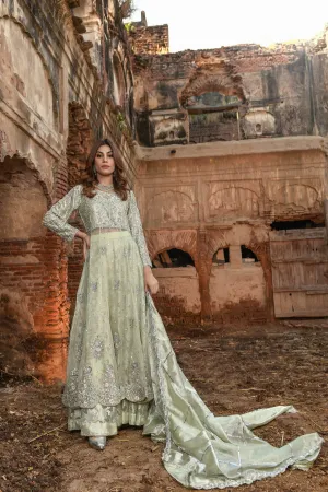 Pakistani Gown and Wedding Lehenga Dress in Net #BS715