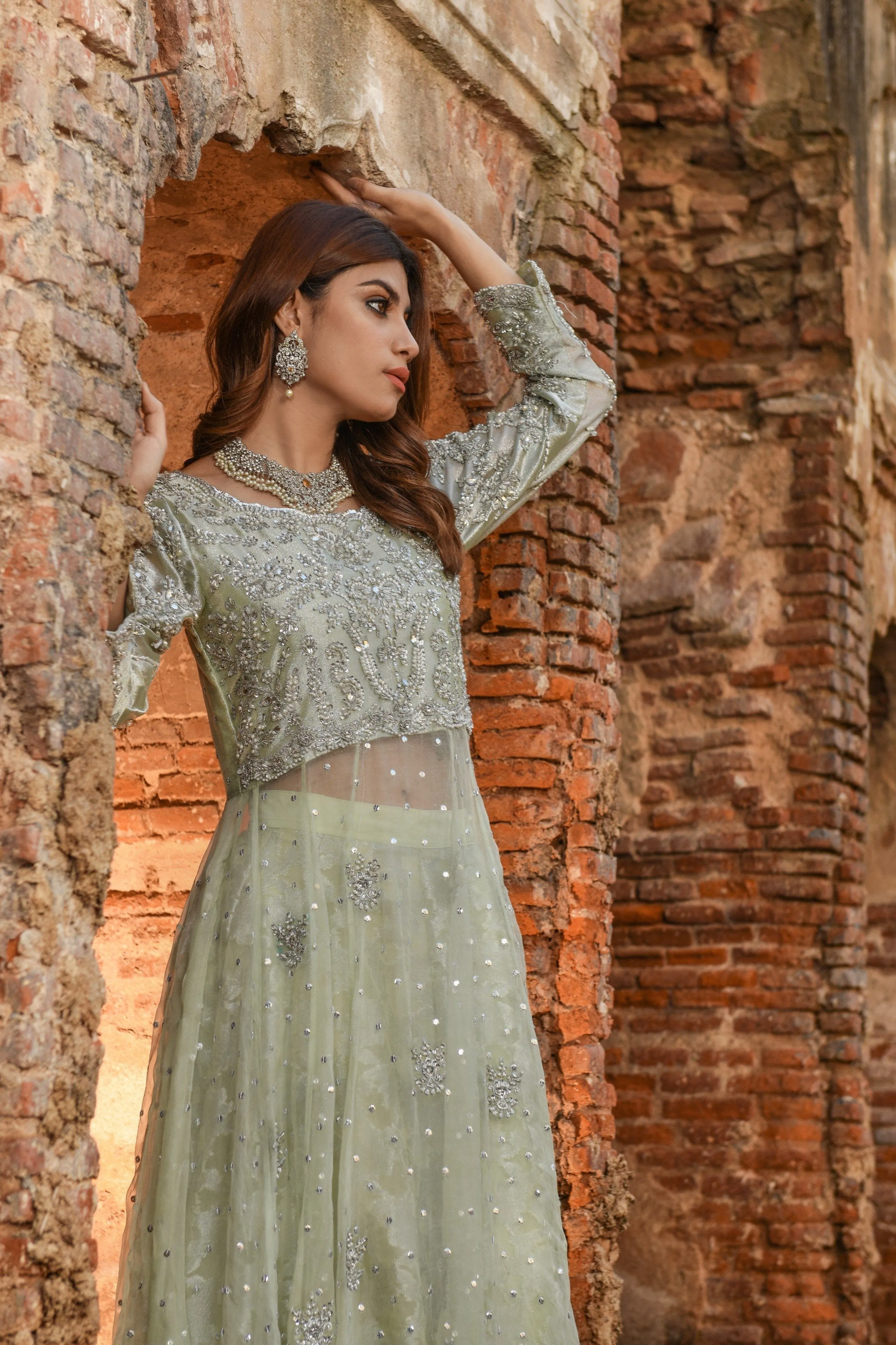 Pakistani Gown and Wedding Lehenga Dress in Net #BS715