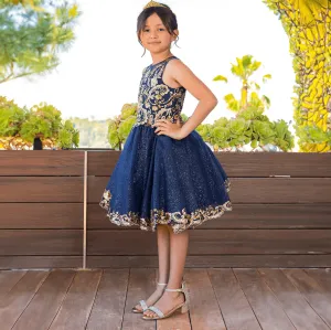 Phoenix Dress