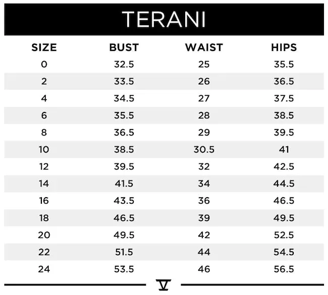 Terani Couture 242C3011 Dress